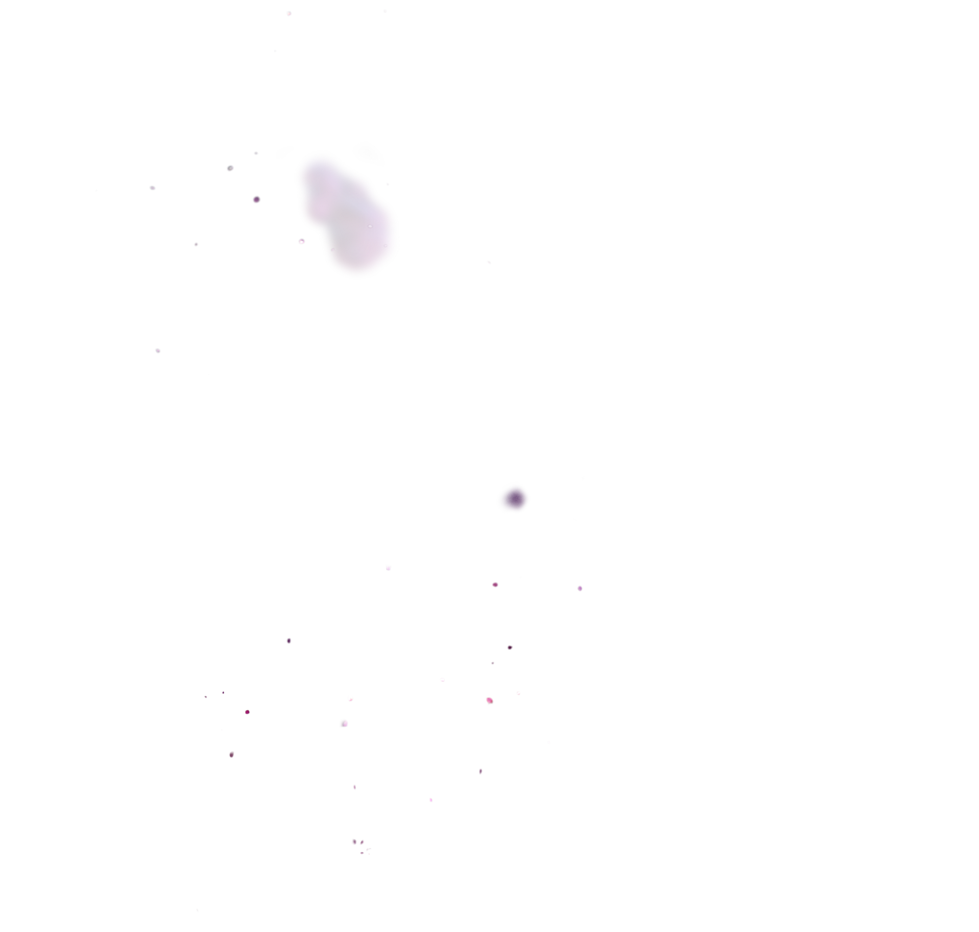 American Football Sports