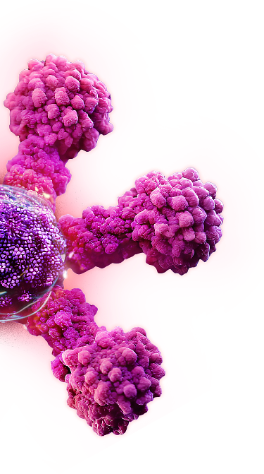 American Football Live